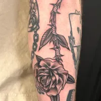 American traditional dagger through a rose on a forearm — by Chay Menke